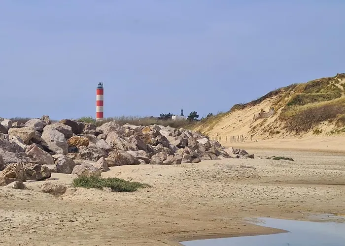 25 M2 à 100m De La Appartement *